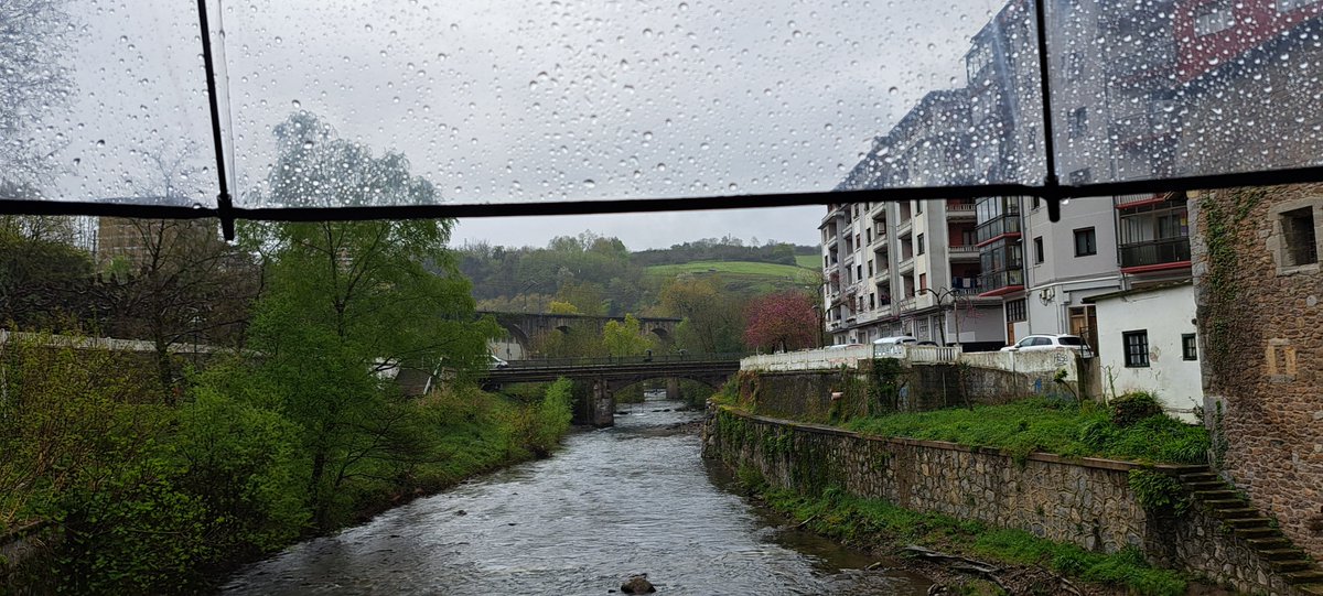 𝑀𝑒𝑡𝑒𝑜𝐴𝑛𝑑𝑜𝑎𝑖𝑛 (𝐼𝑚𝑎𝑛𝑜𝑙.𝐹) tweet media