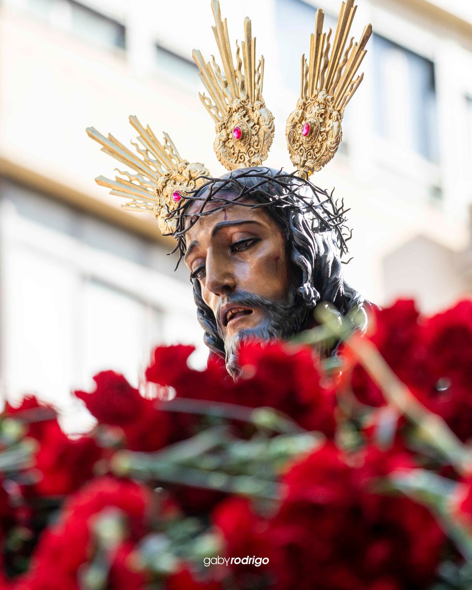 Gaby Rodrigo - Fotografía tweet media