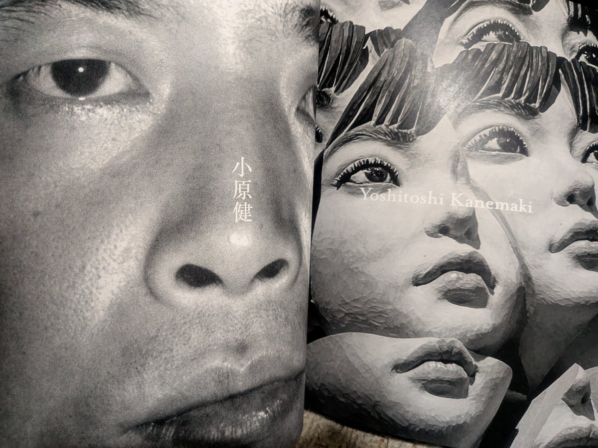 hyperneko（ハイパーねこ） tweet media