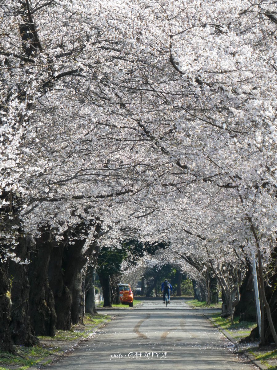 大宮さざえsun☪︎優しい言葉をありがとう☪︎ tweet media