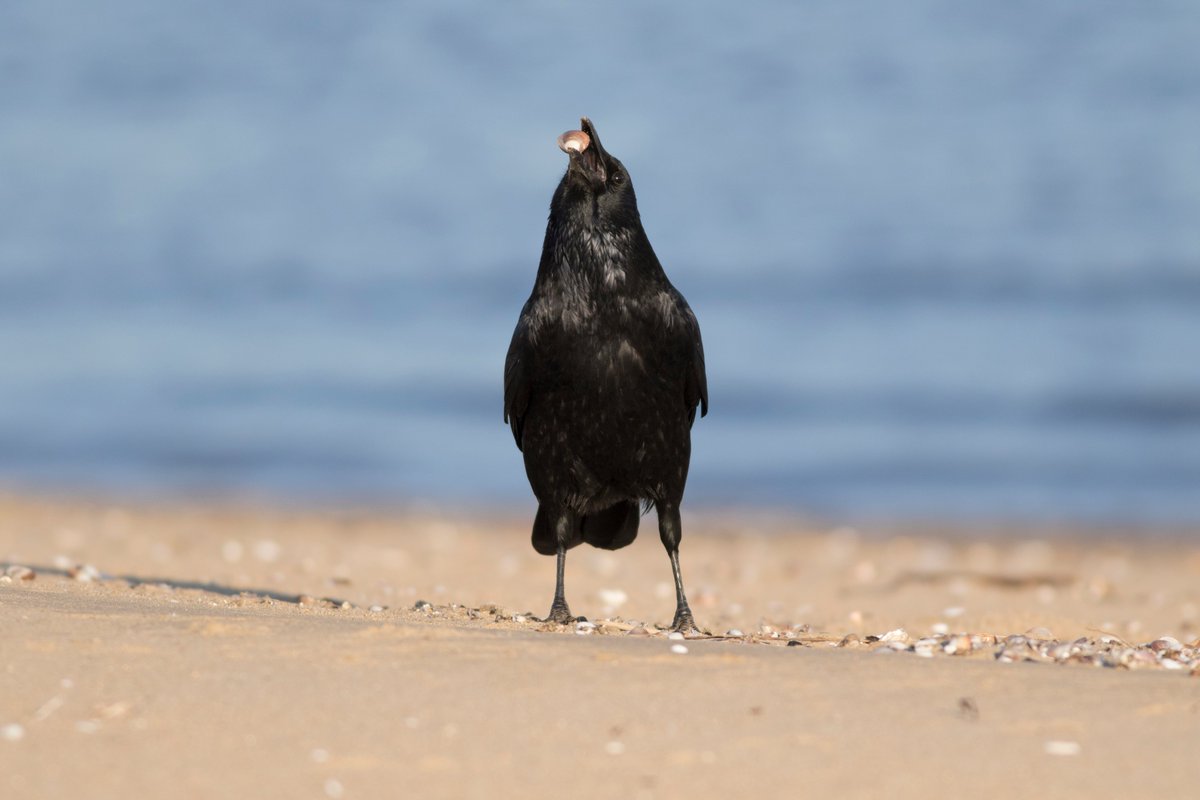 宮本 桂 tweet media