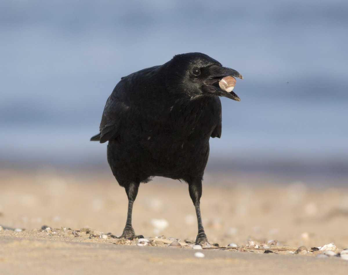 宮本 桂 tweet media