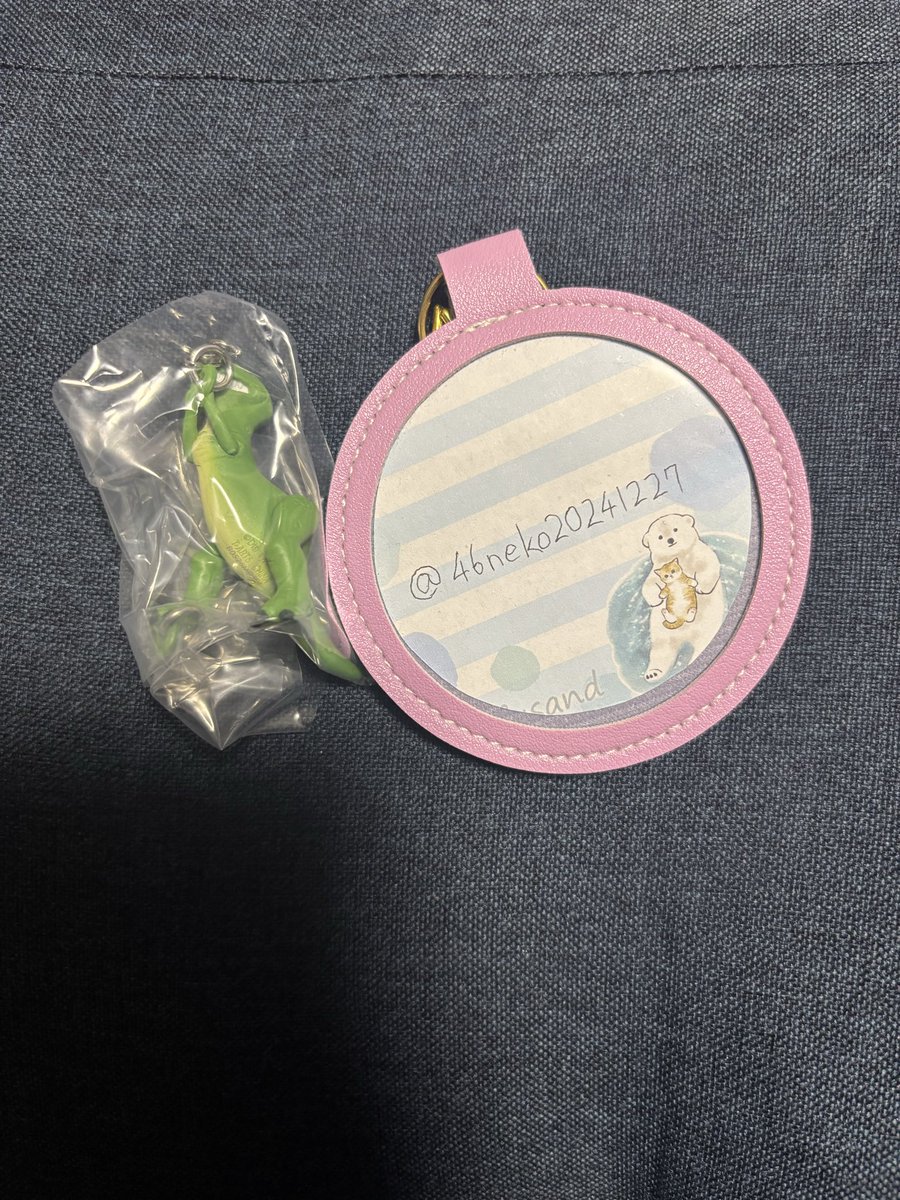 46ネコ tweet media