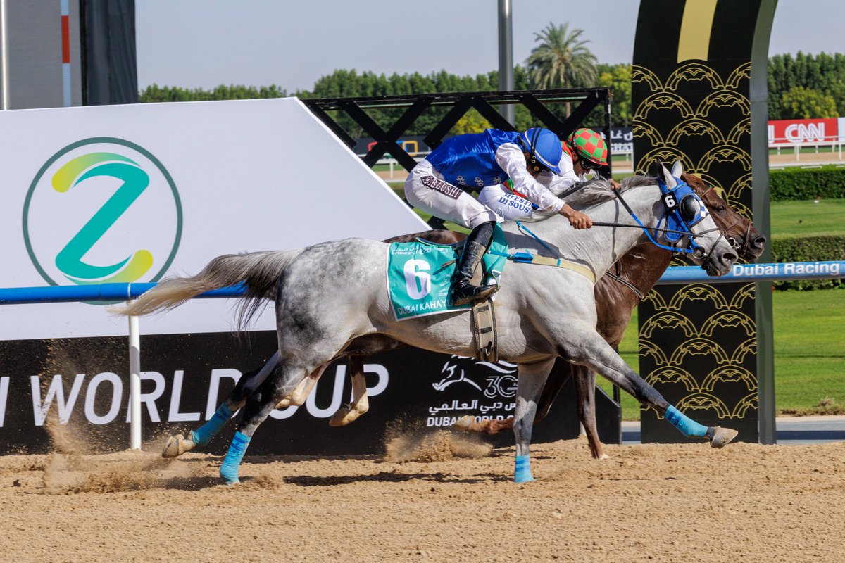 TheAJClub's tweet photo. Falaah (AF Albahar x Zeina) won an exciting photo at the end of 2,000 meters over Muraad (Thakif x Gabra) to give the Sultanate its first victory in the race that kicks off the Dubai World Cup card. It’s the fifth year in a row that connections from a different country have won. https://t.co/SKniFSrmds