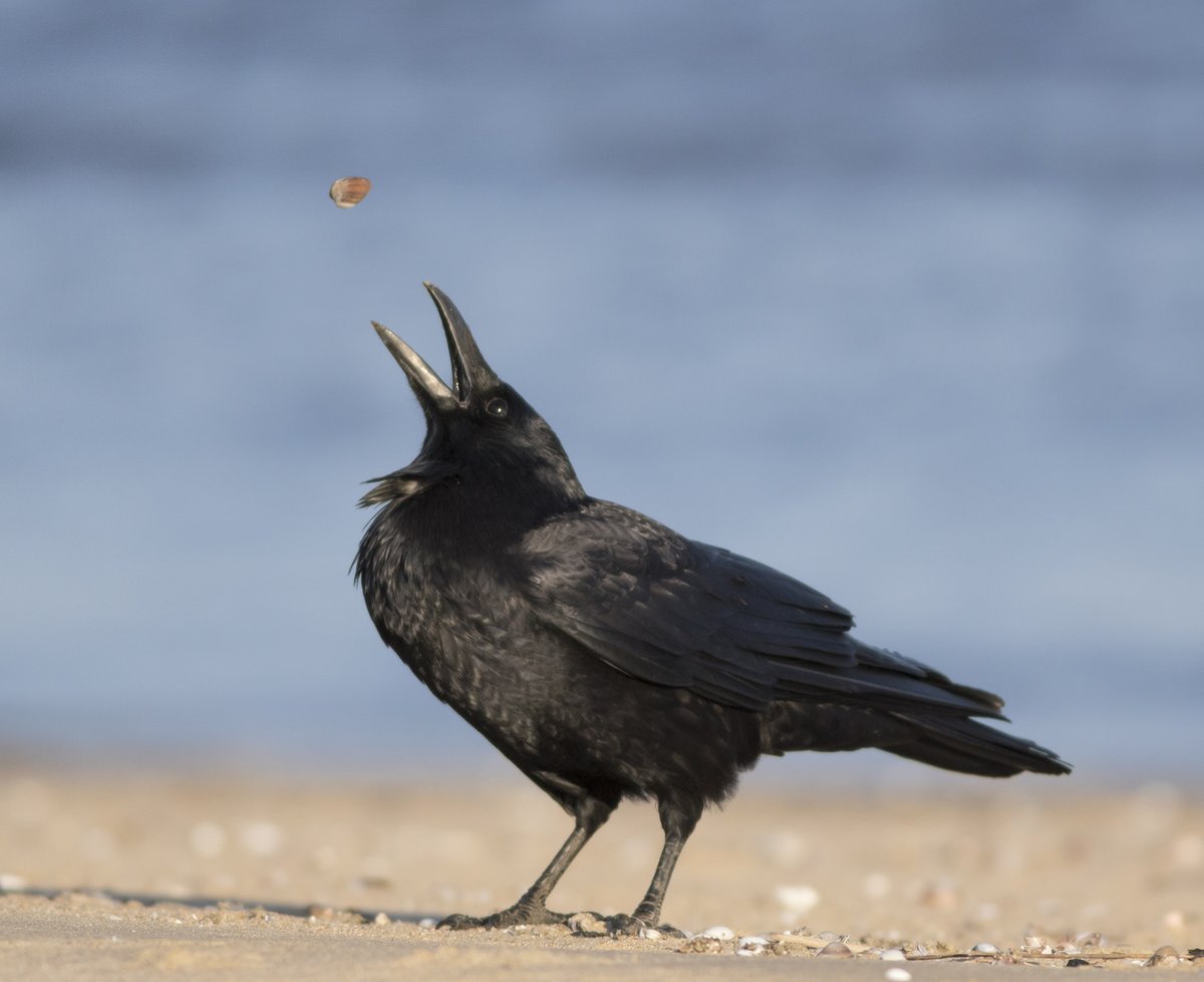 宮本 桂 tweet media