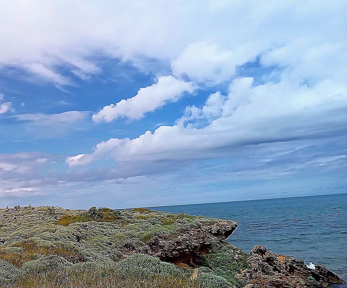 carmeladonnafugata tweet media