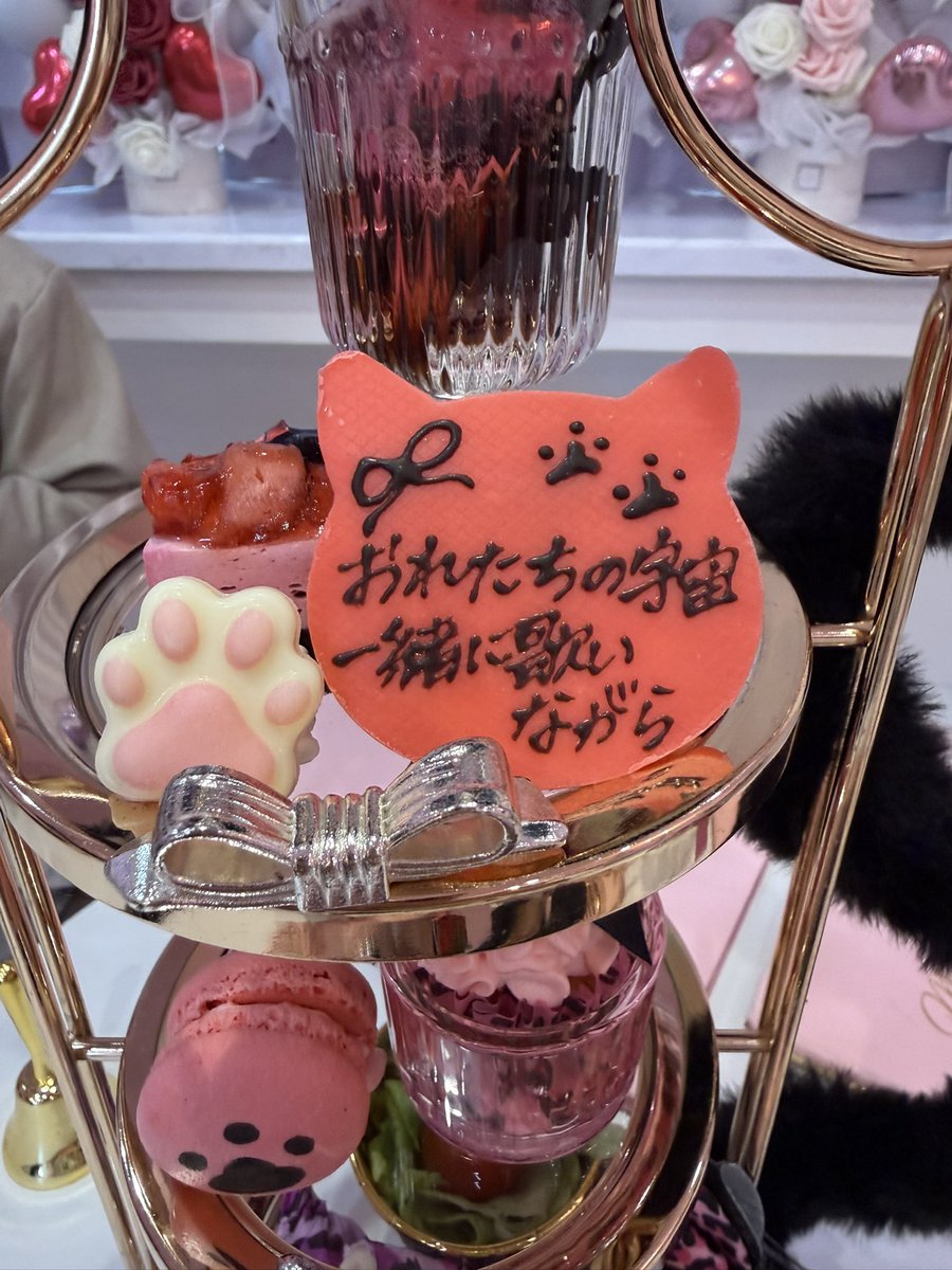 ☆𐔌՞⁔⸝⸝ɞ̴̶̷ ̫ ᴗ̤⸝⸝⁔՞𐦯ᯤ♡ tweet media