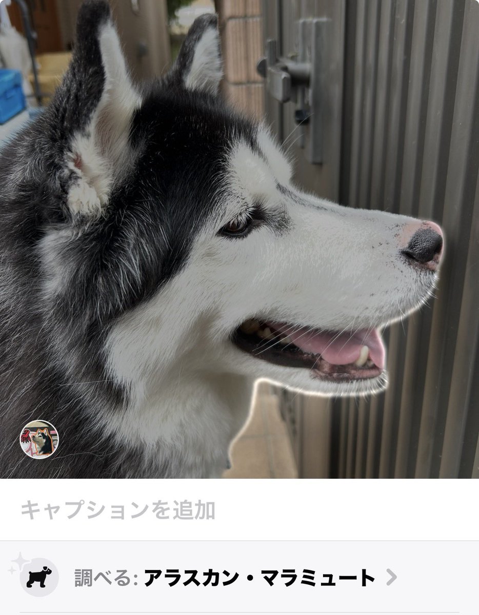 ウィルバイン tweet media