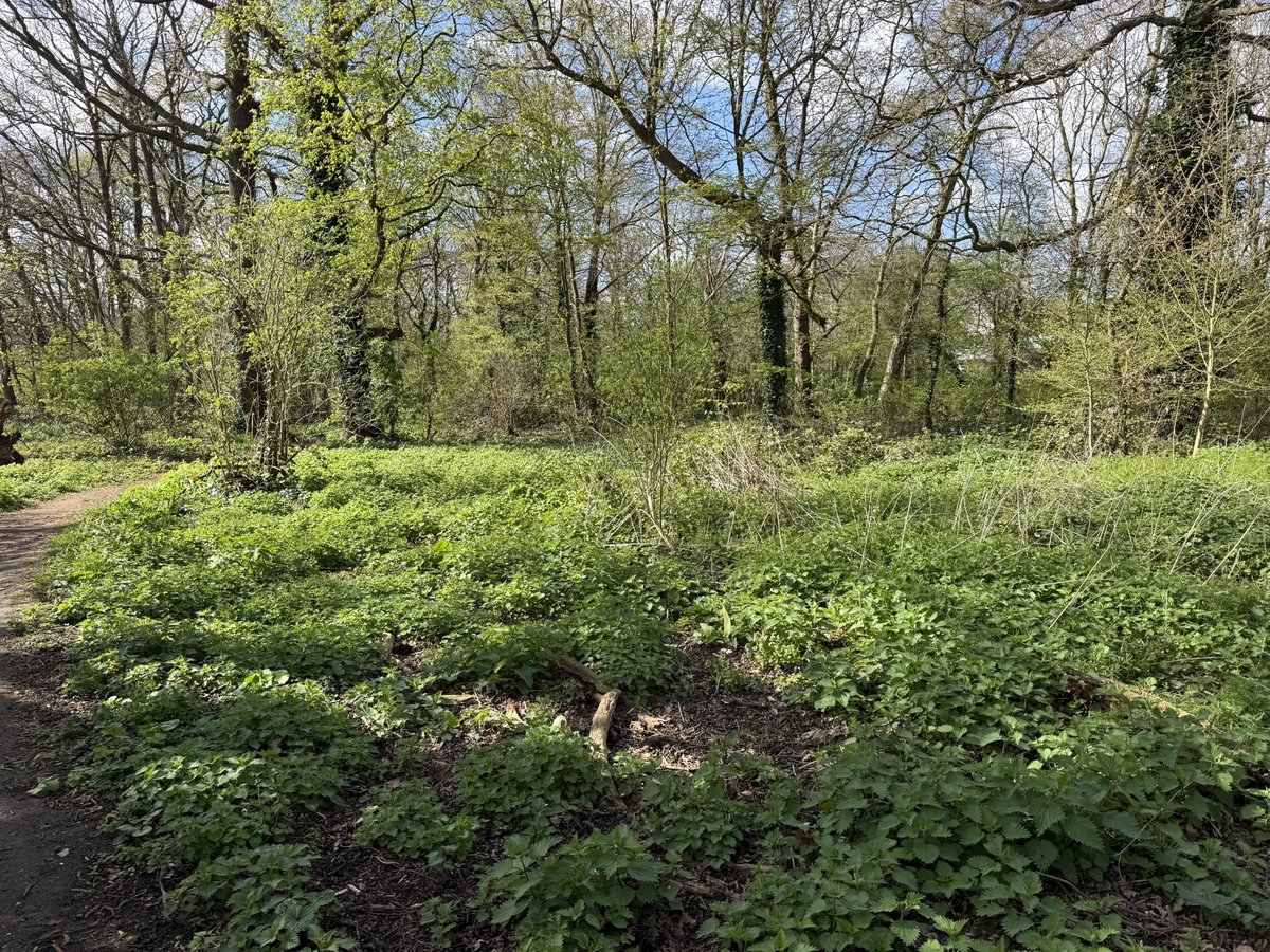 Cllr John Martin tweet media