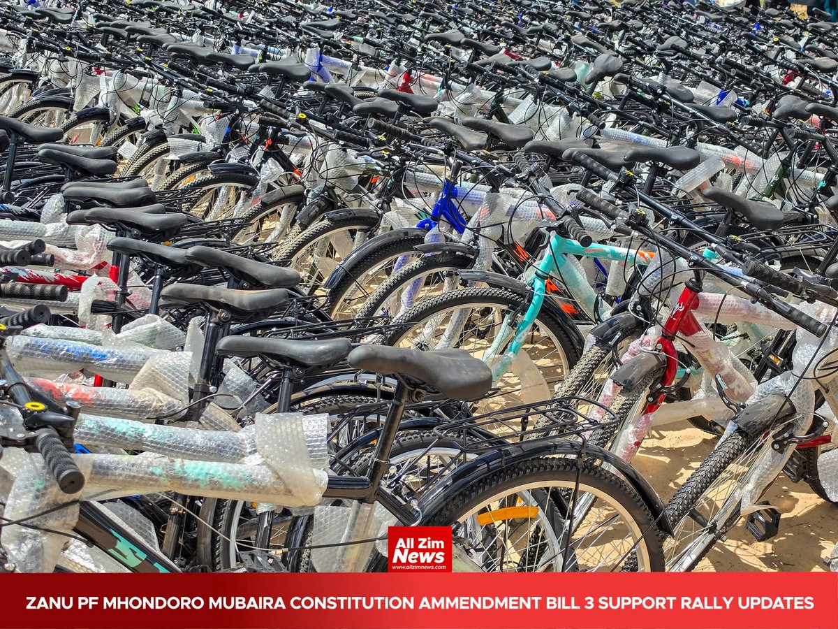 Jacob Ngarivhume tweet media