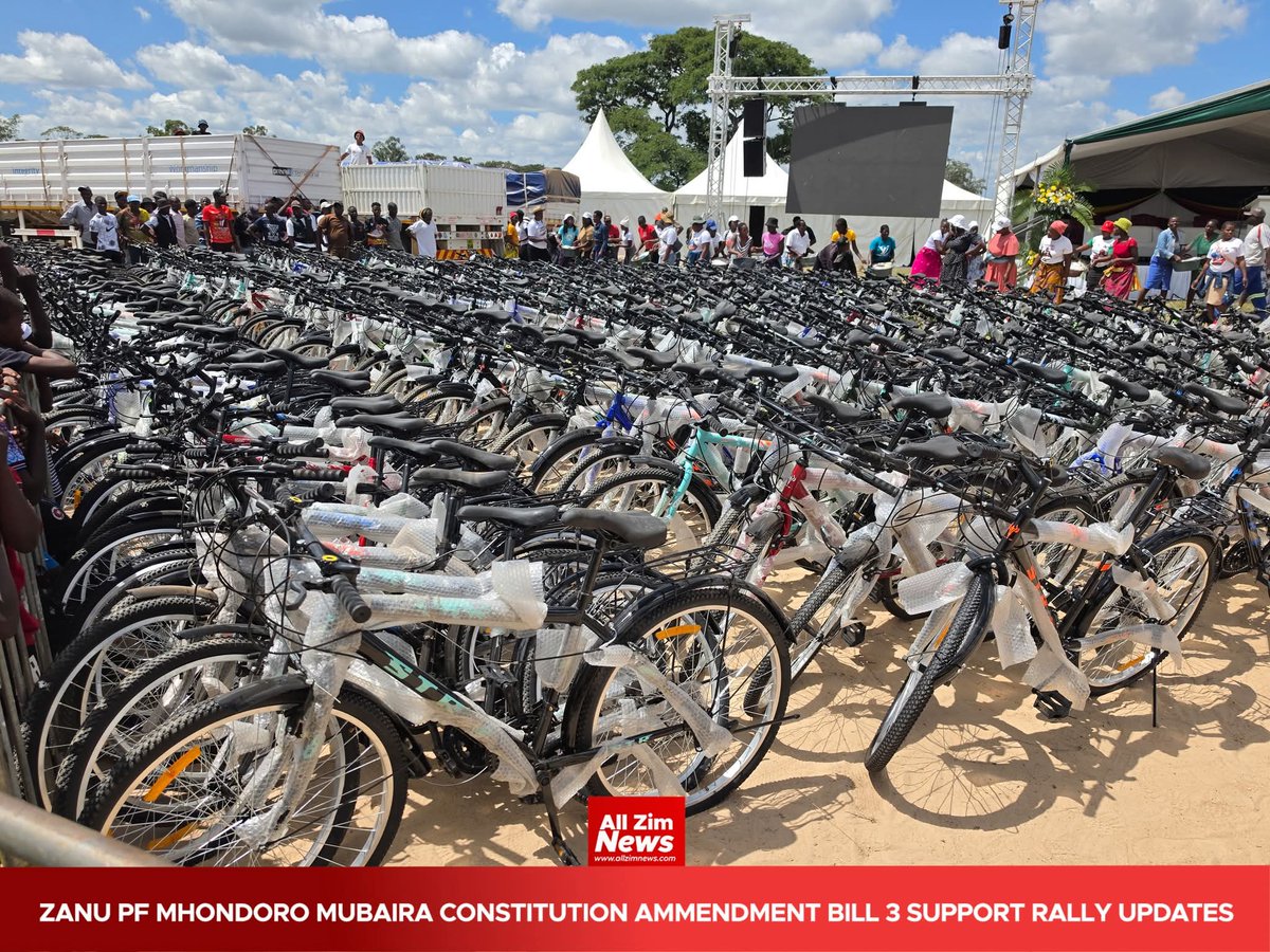 Jacob Ngarivhume tweet media