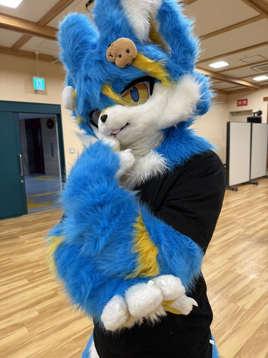 いぬまる tweet media