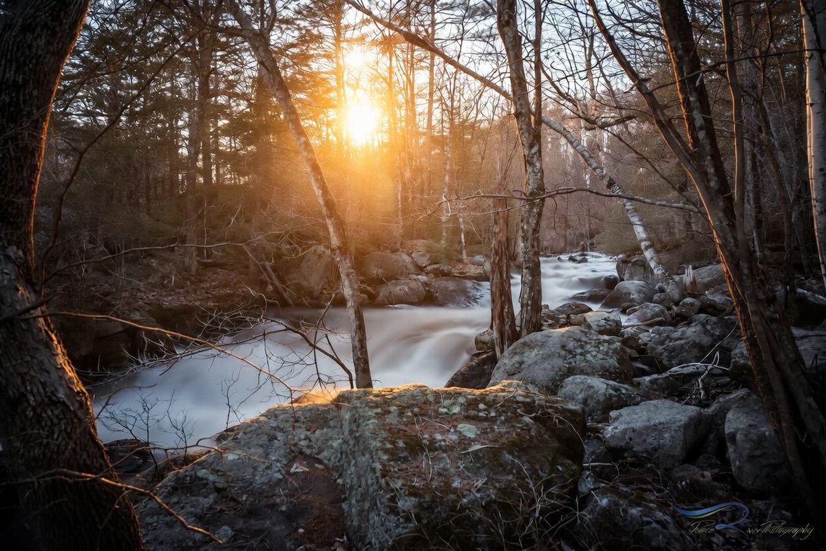 Granite Stater 🇺🇸 tweet media