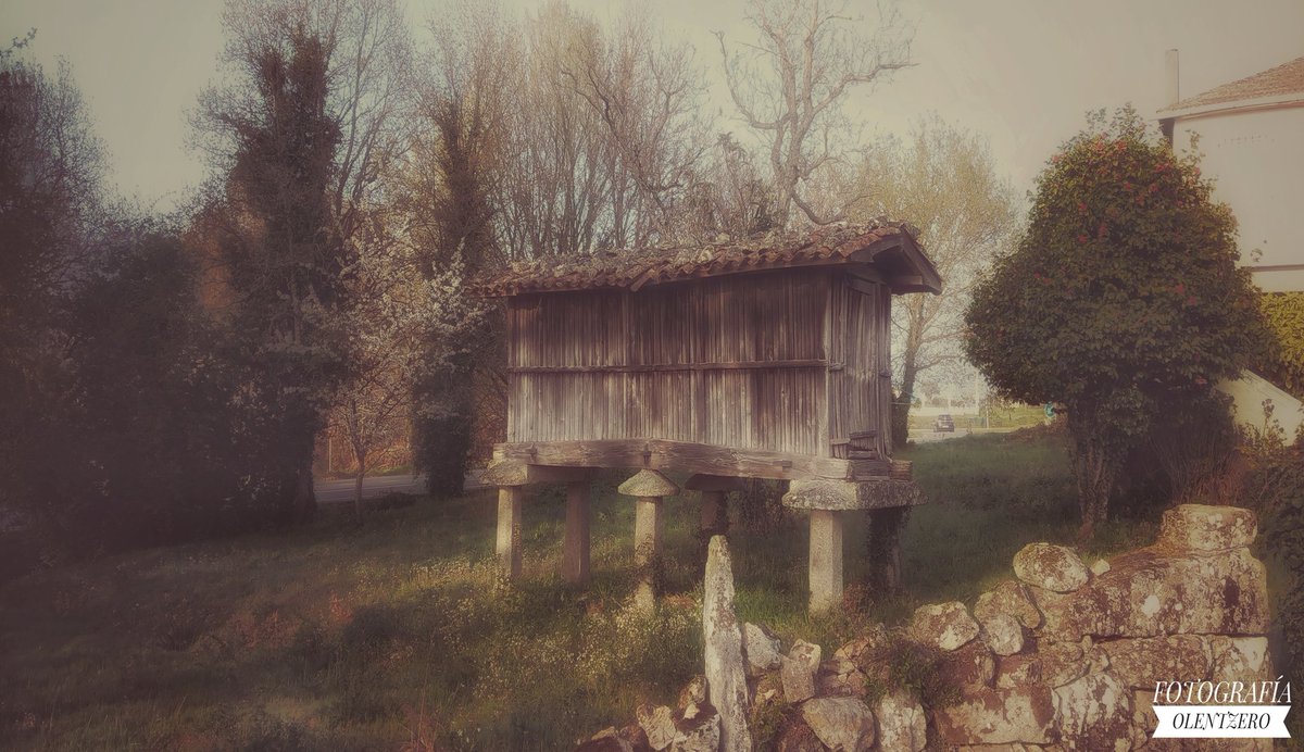 FOTOGRAFÍA OLENTZERO (@olentzero22) on Twitter photo 