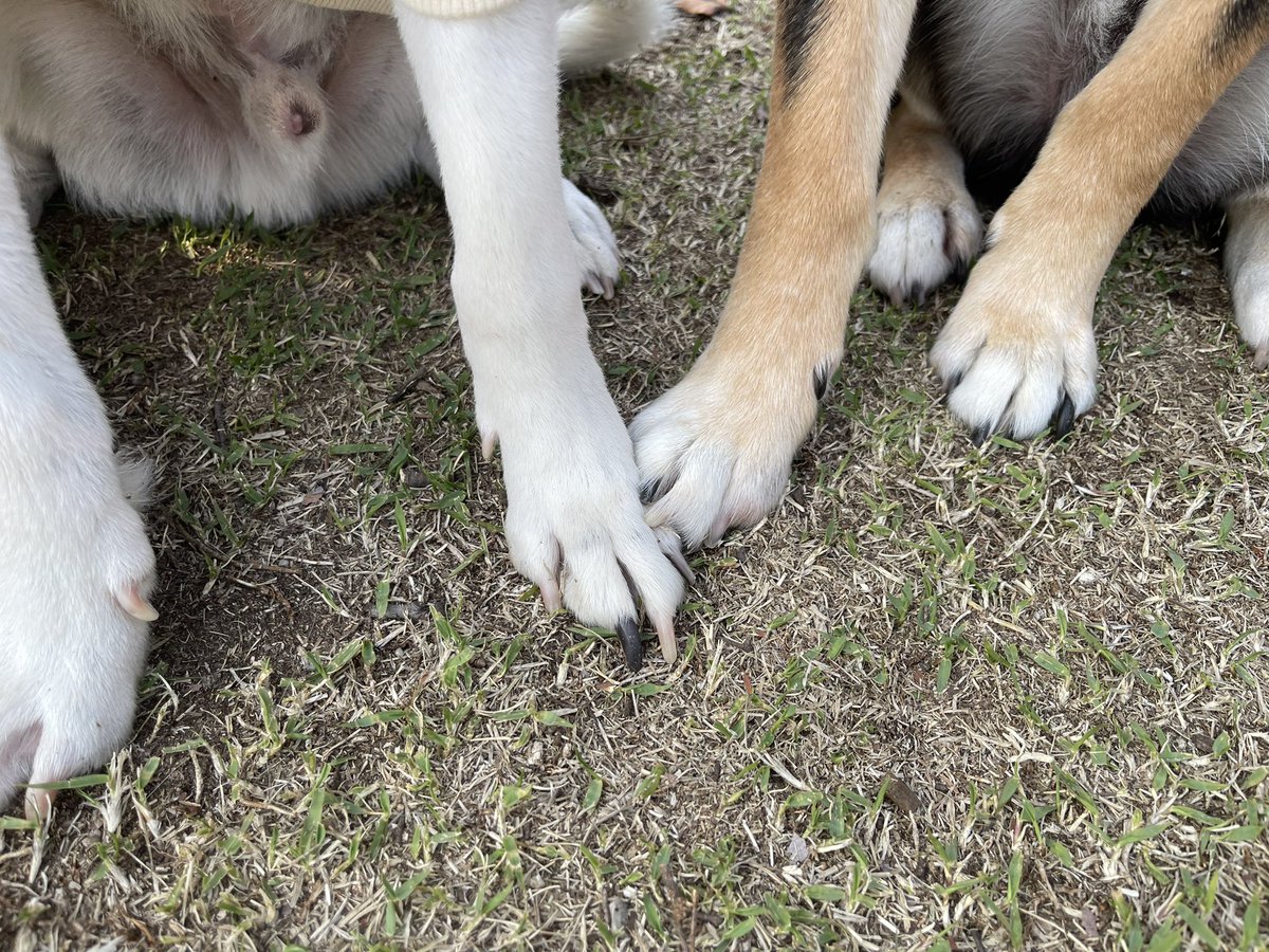 水野有彩 tweet media