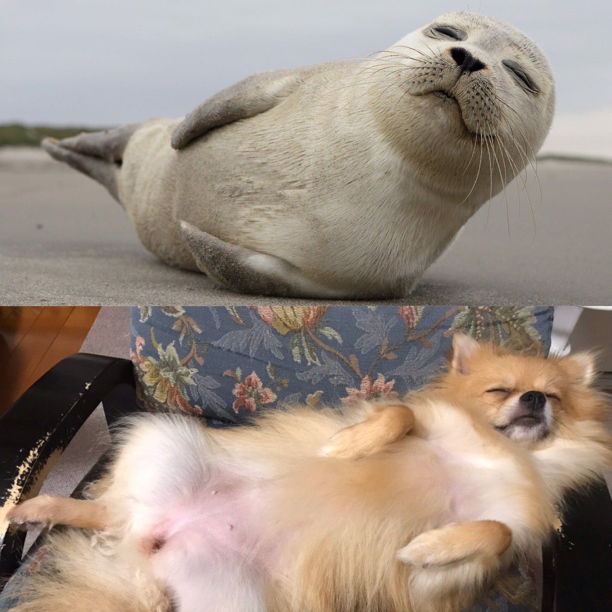 ゆまち tweet media