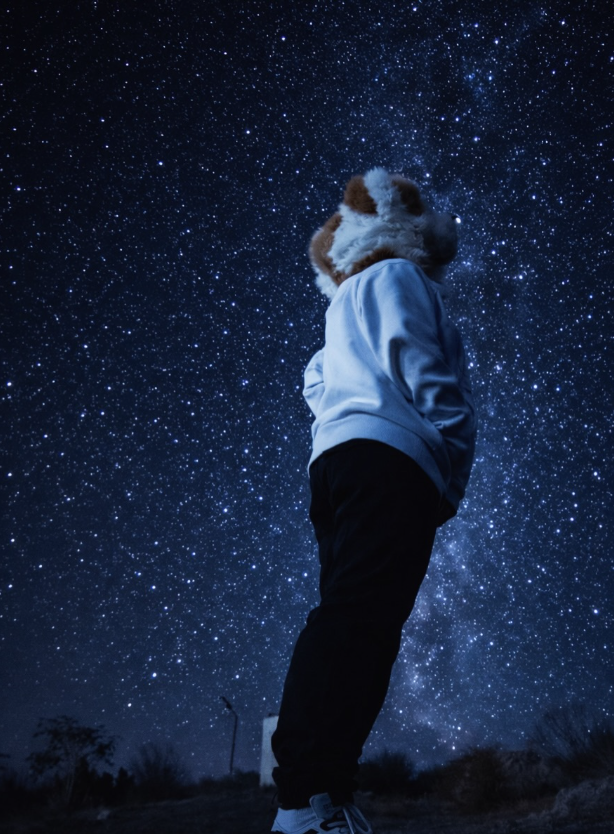 ⭐ | Milo .ᐟ tweet media