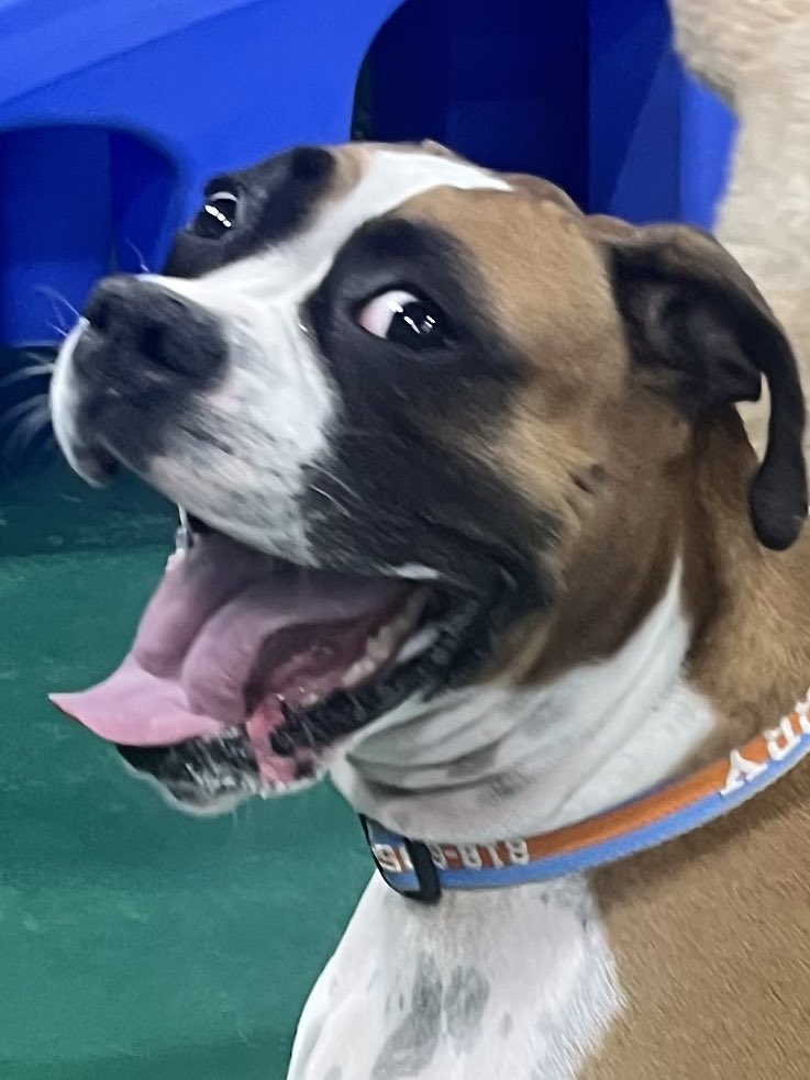 Frank Epstein tweet media