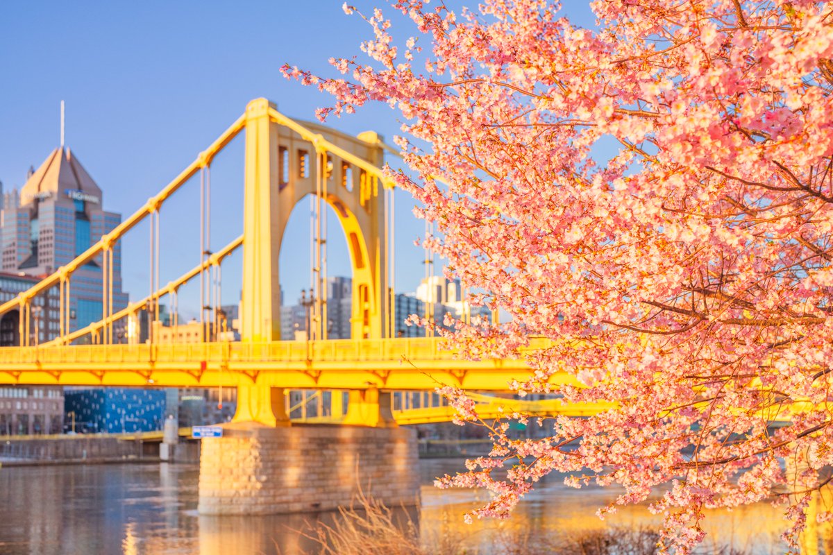 Dave DiCello tweet media