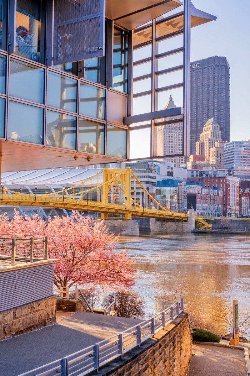 Dave DiCello tweet media