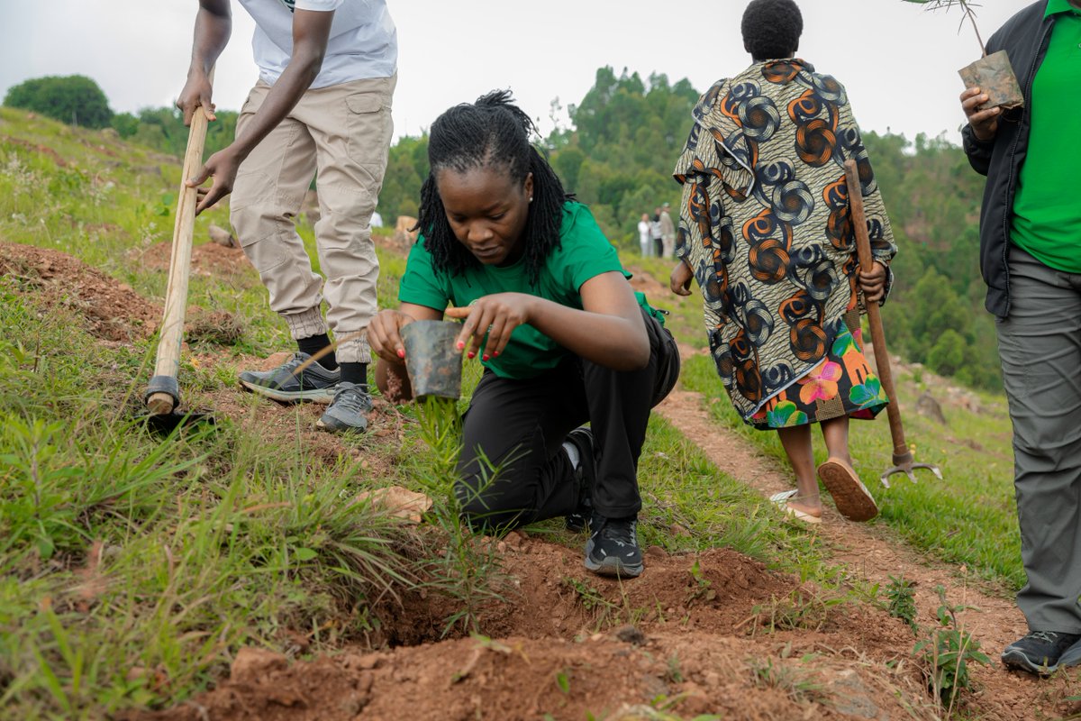 Rwanda Water Resources Board | RWB tweet media