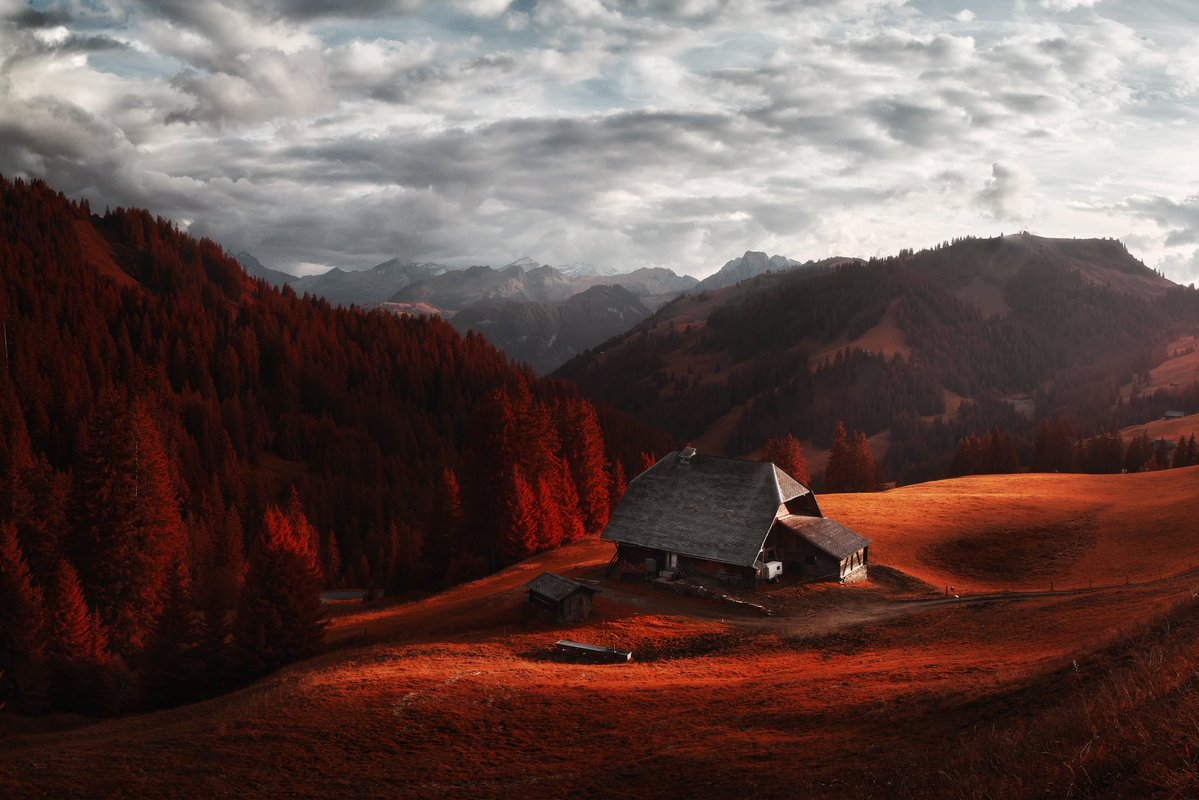 Jonas Hangartner tweet media