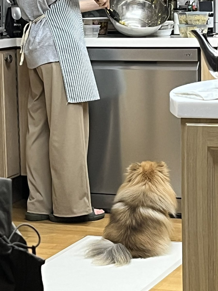 조도매 tweet media