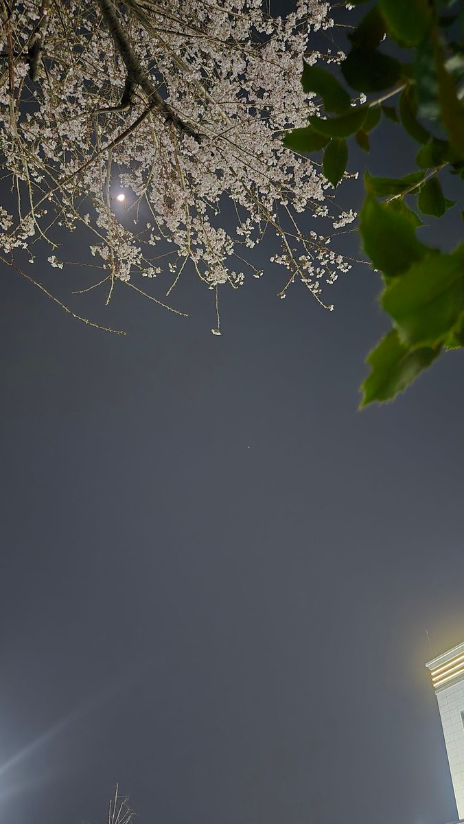 ㅎiㄹㄹiㅇ tweet media