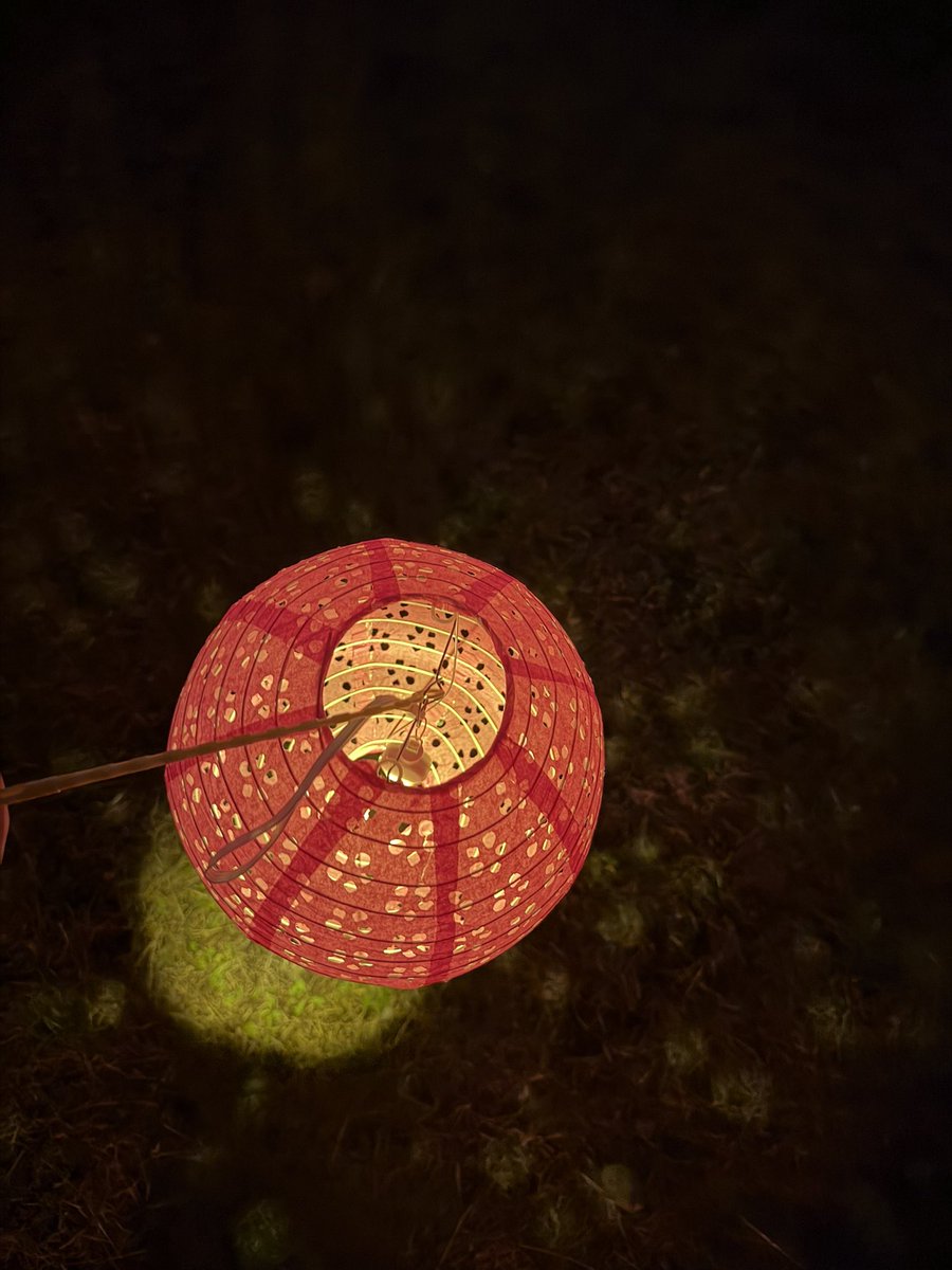 maki_evein's tweet photo. 清雲寺の枝垂れ桜を主人と見に行ってきた
一眼で撮影する主人と
iPhone17Proで撮影する私(一眼の充電忘れた為)
様々なメディアで告知されていた事もあり中々の盛況🌸
トヨ博行きたかったの
来年は行くぞークラウンMT
#夜の枝垂れ桜
#Belc
#清雲寺 https://t.co/JIUo2Q8smr
