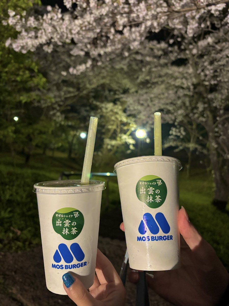 みあが旅をするだけ tweet media