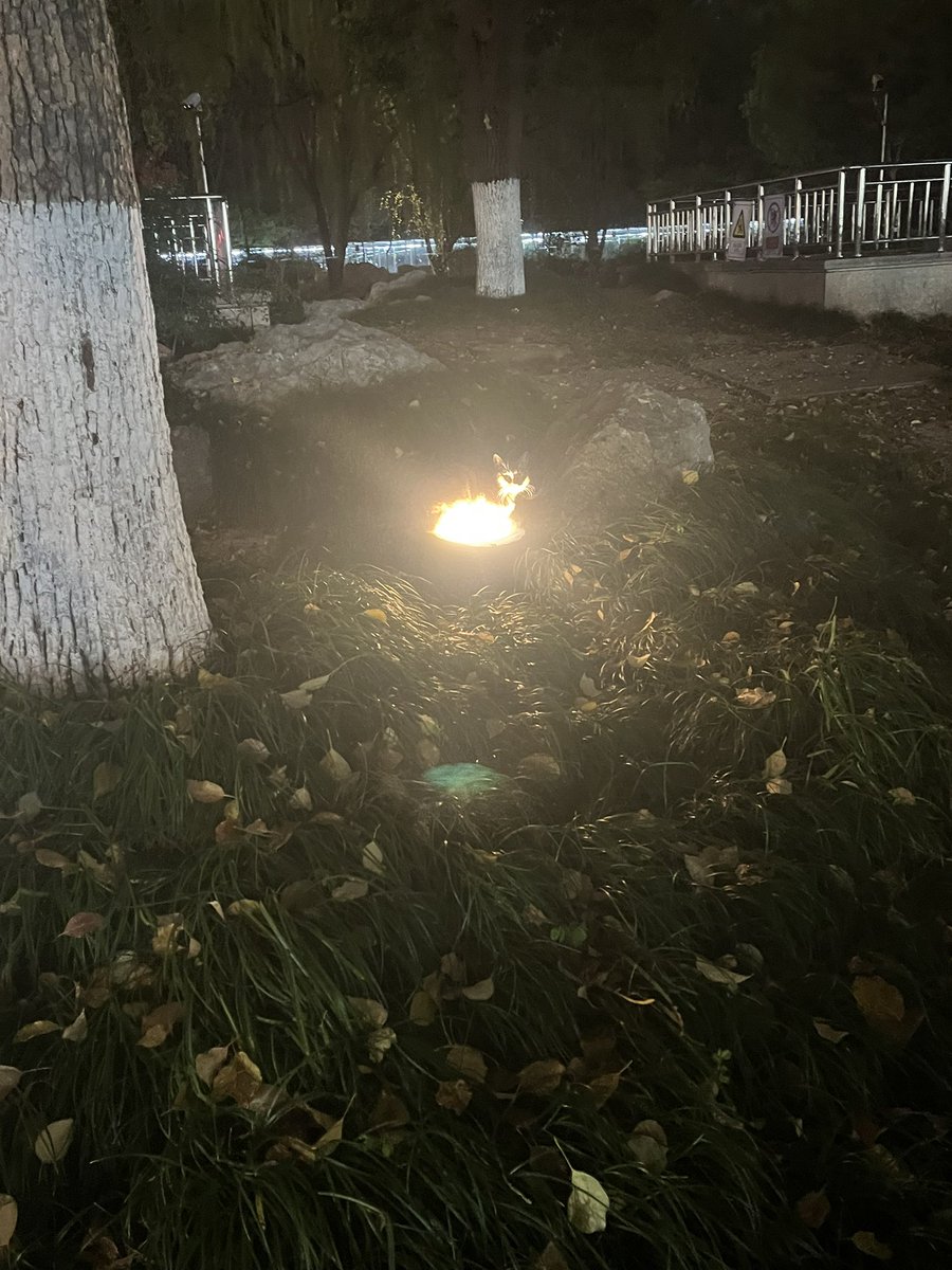 Hi Dragon tweet media