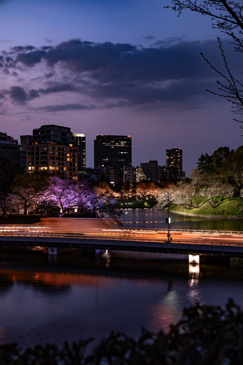 ぺんどり📷️ tweet media