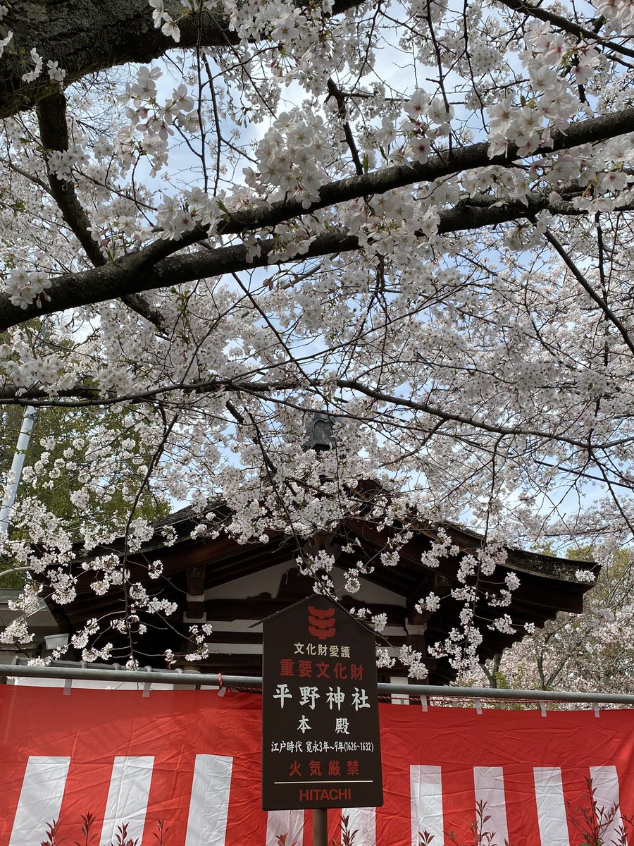 ロフ🎭もみあげ太郎🎭公式【羅湖】(米国株、フランス株、中国株、香港株、日本株) tweet media