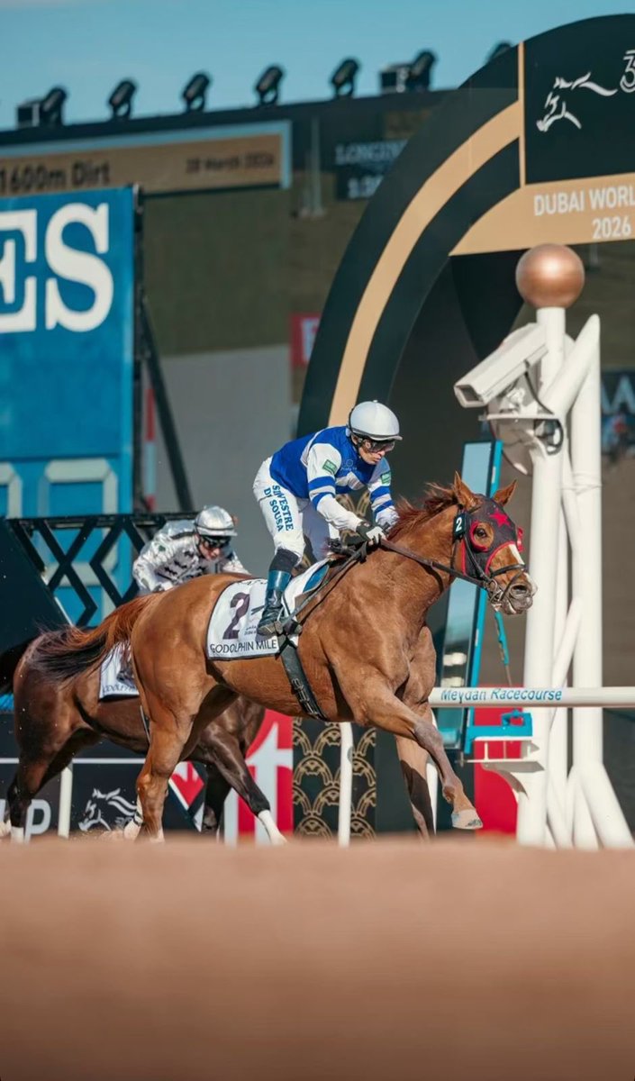 The Saudi Cup tweet media