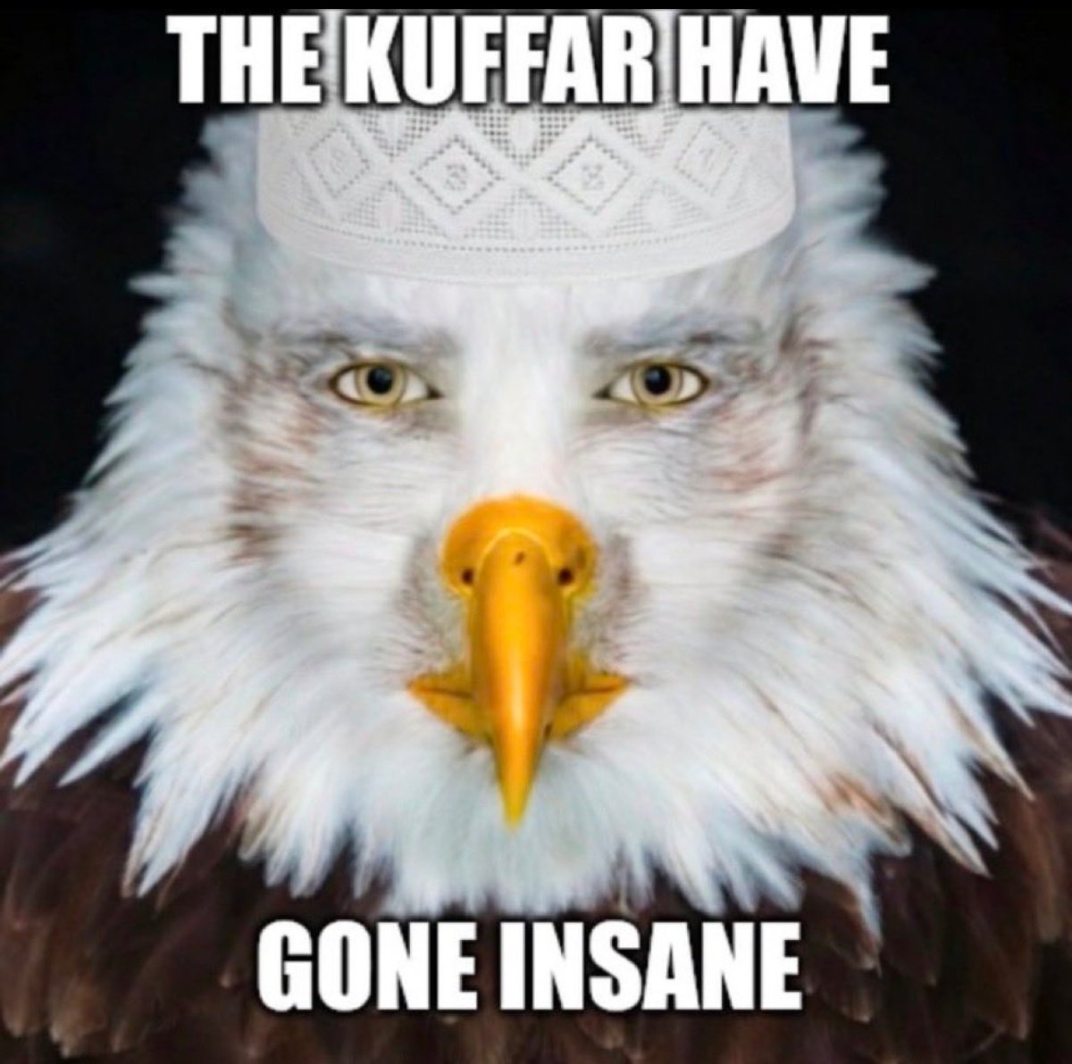 White Genocide Enjoyer (Temporary Shia) tweet media