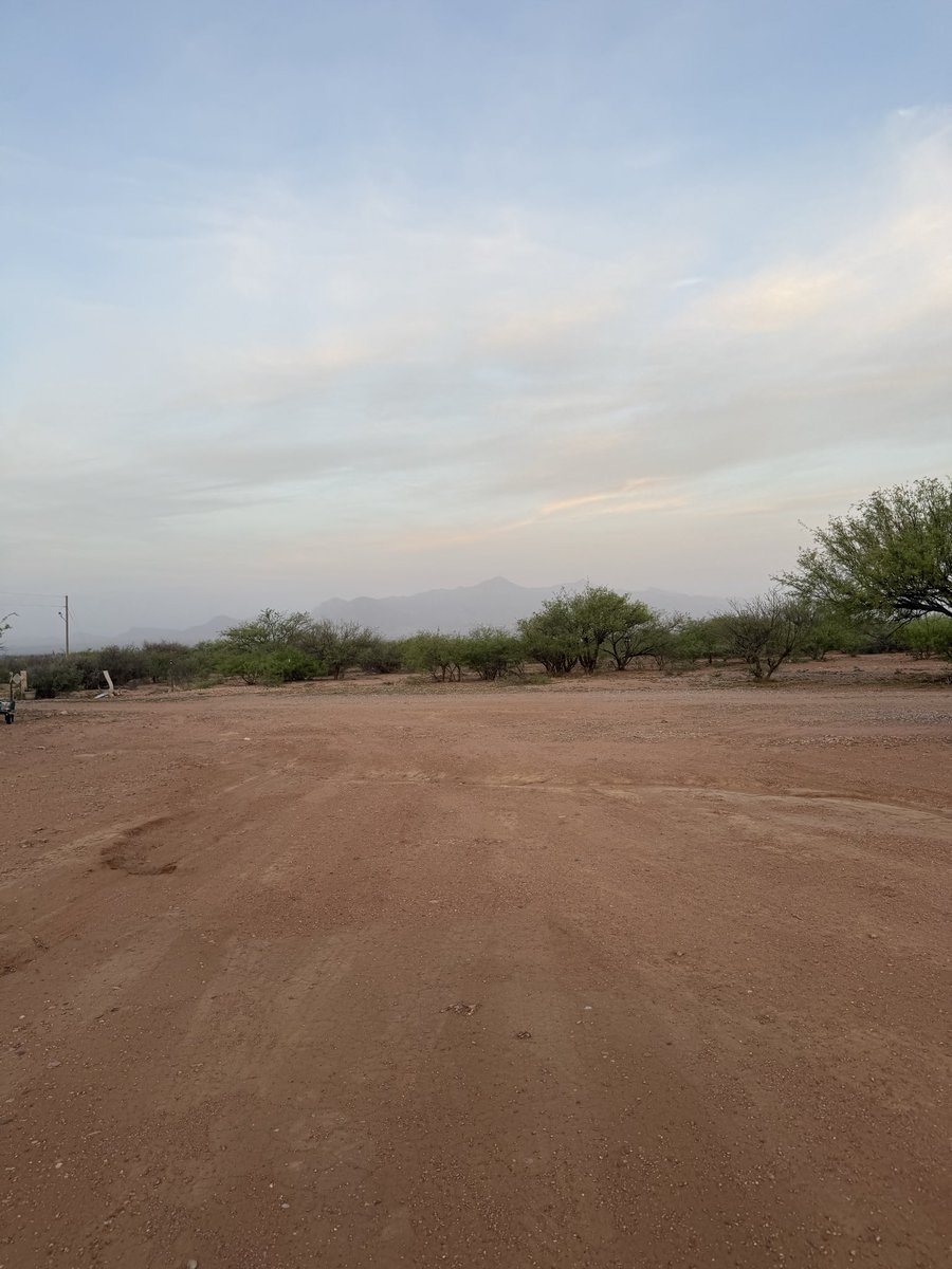 Alaina Catssadine's Cursed Cat Café tweet media