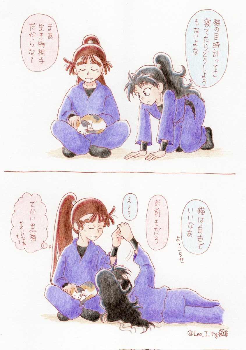 ししとら tweet media