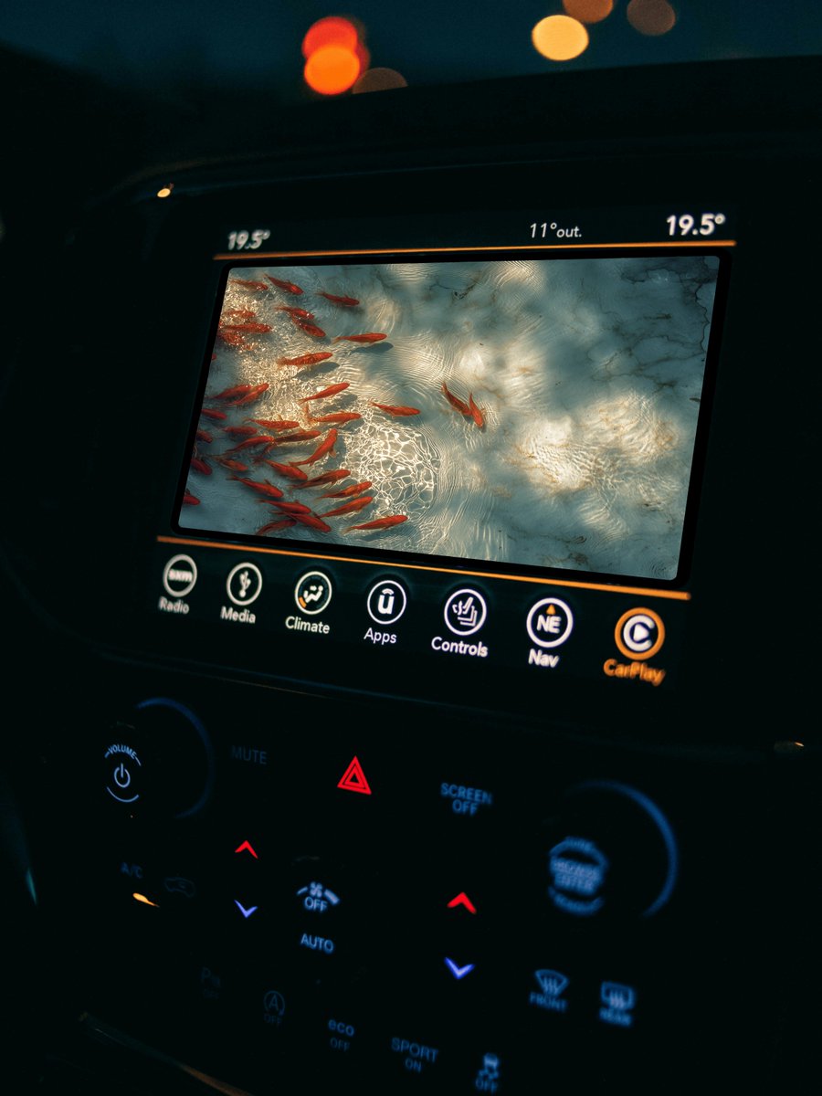 CKAUII VISION tweet media