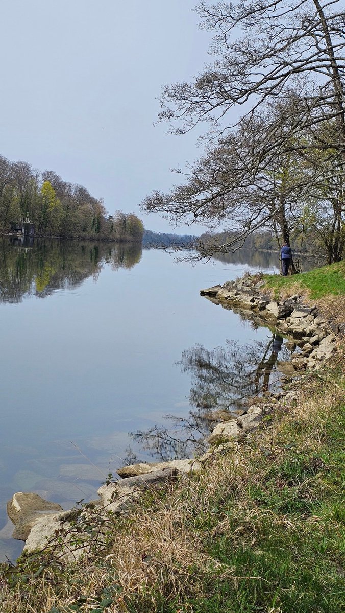 Margarethe Mutter tweet media