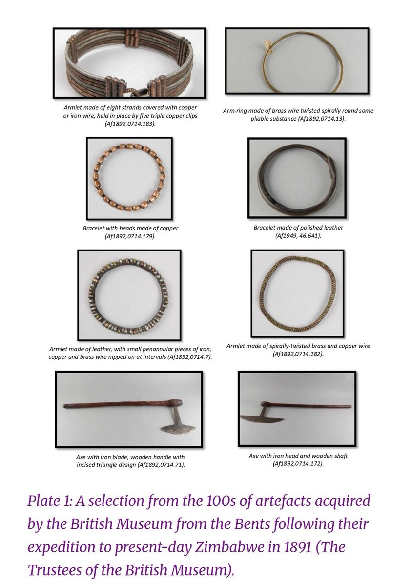 Experience Zimbabwe tweet media