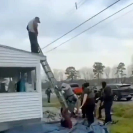 Cultination tweet media