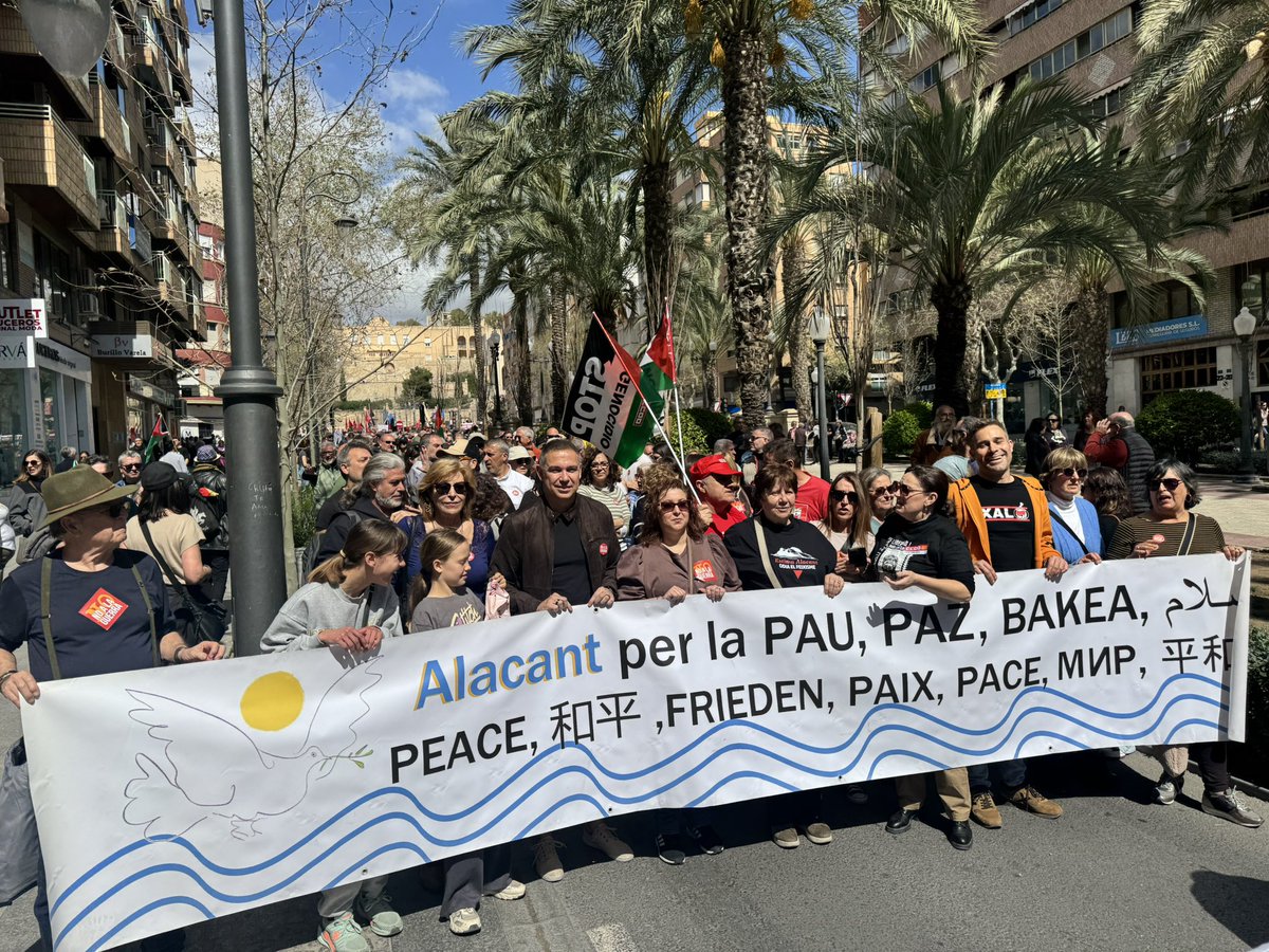 Grupo Socialista Ayuntamiento Alicante tweet media