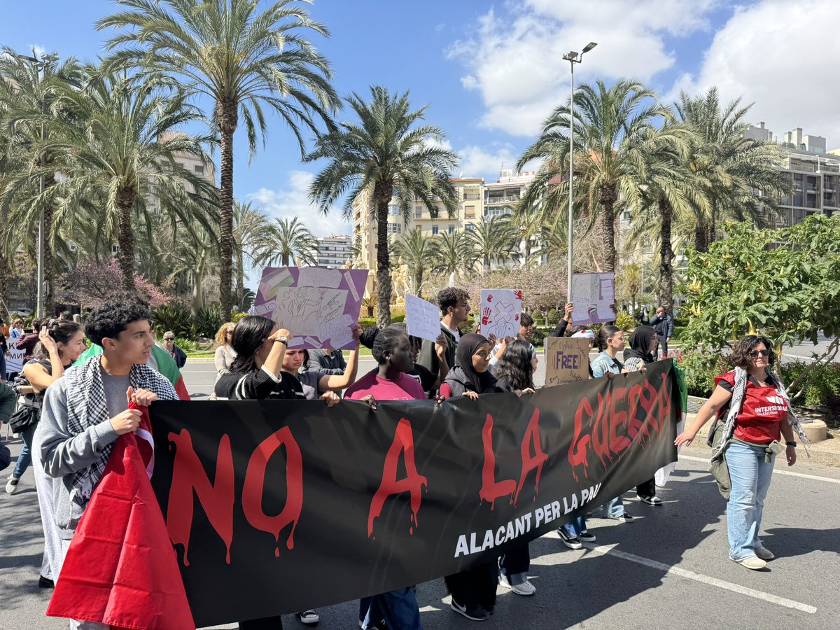 Grupo Socialista Ayuntamiento Alicante tweet media