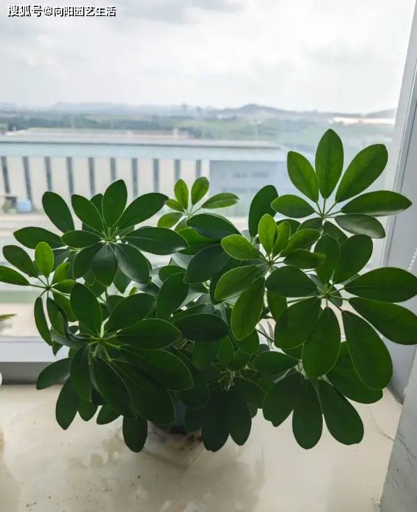 andreas bruegmann tweet media