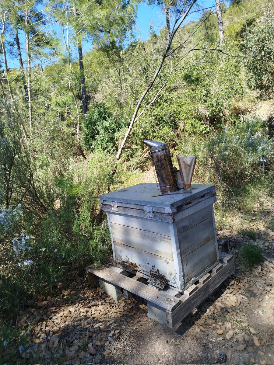 amainada tweet media