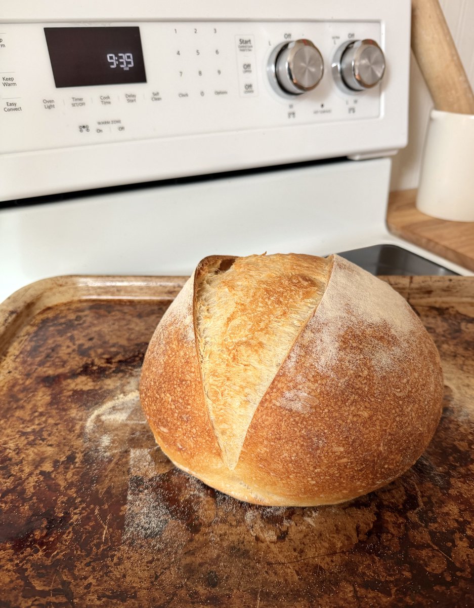 ☀️🌷Catholic Charm ✞ 🌷☀️ tweet media