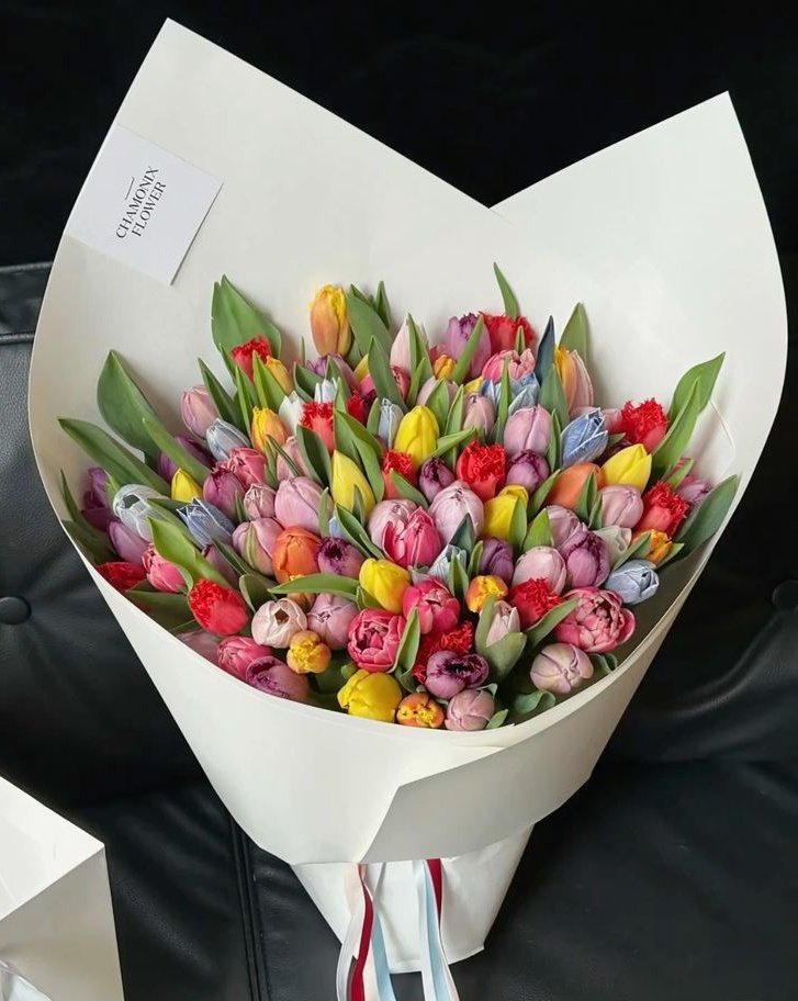 Only Tulips (@tutututututulip) on Twitter photo 
