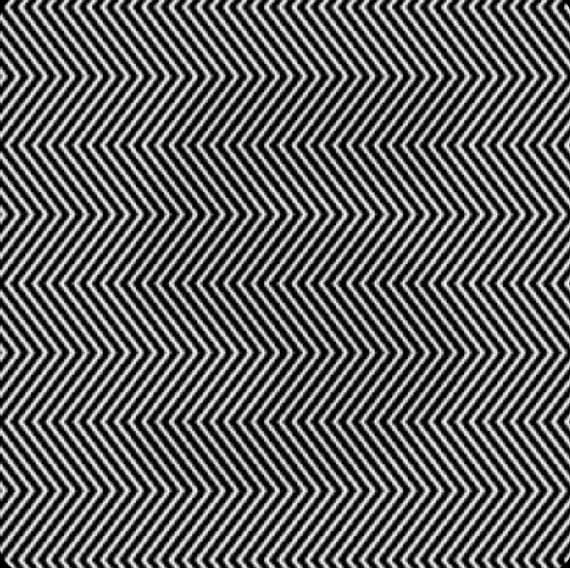 Olivia Nicole 🇺🇸 tweet media