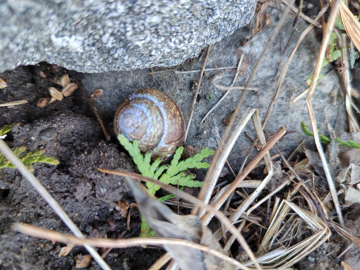 Maija Isokorpi tweet media