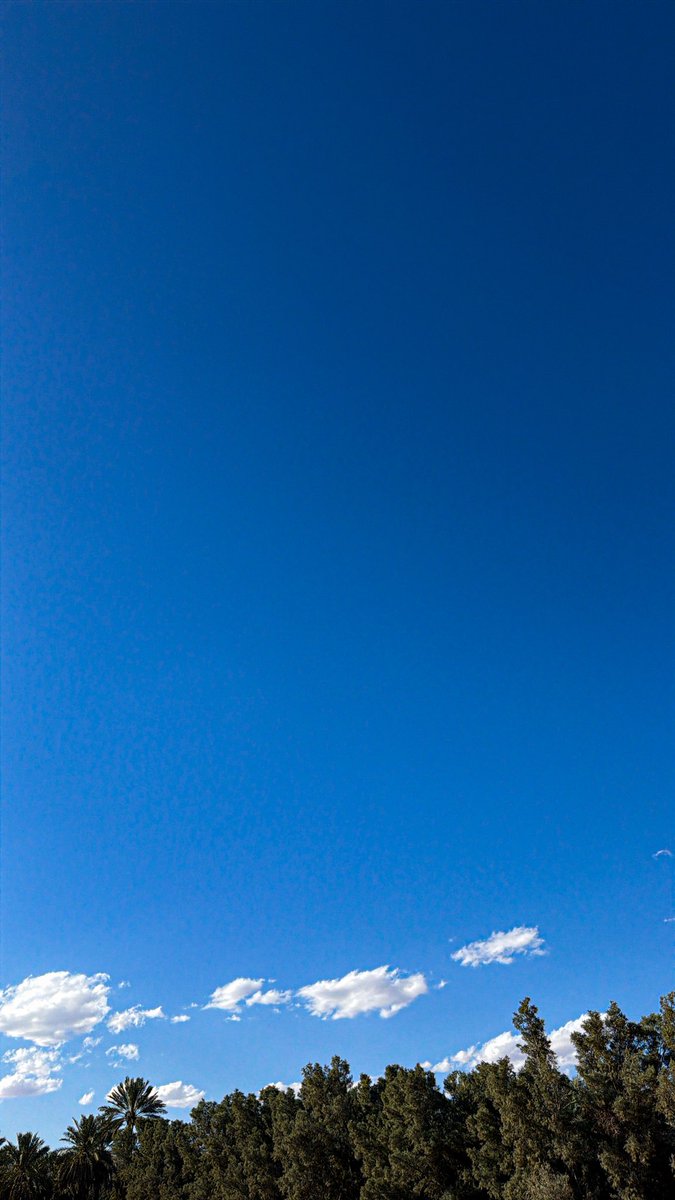 سووول tweet media